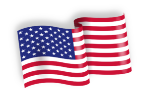 USA Flag
